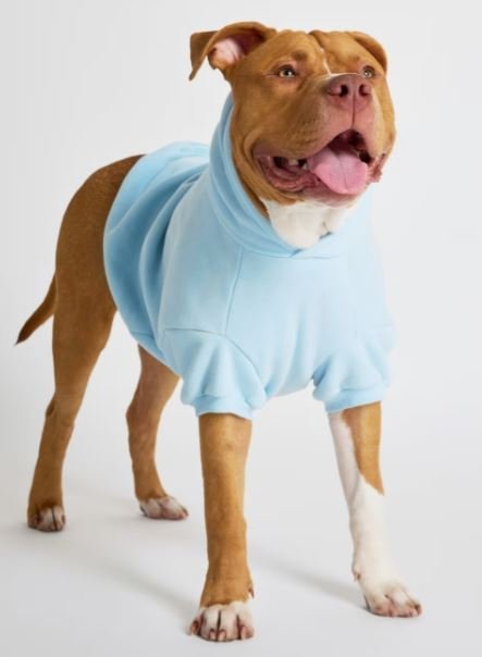 Pastel Paw Hoodie