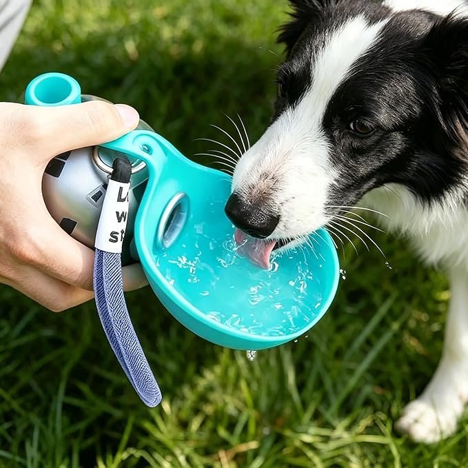 Portable Stainless Steel Dog Water Bottle | 10oz Leak-Proof Travel Dispenser