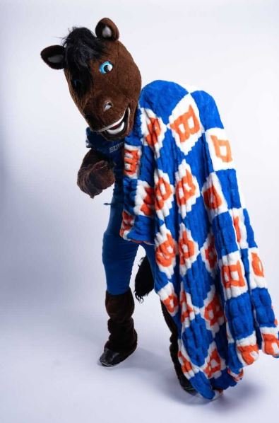 Ultra Soft Plush Team Throw Blanket for Cozy Comfort