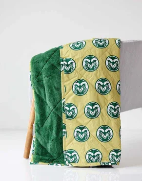Hooded Stadium Everywhere Blanket for College Fans